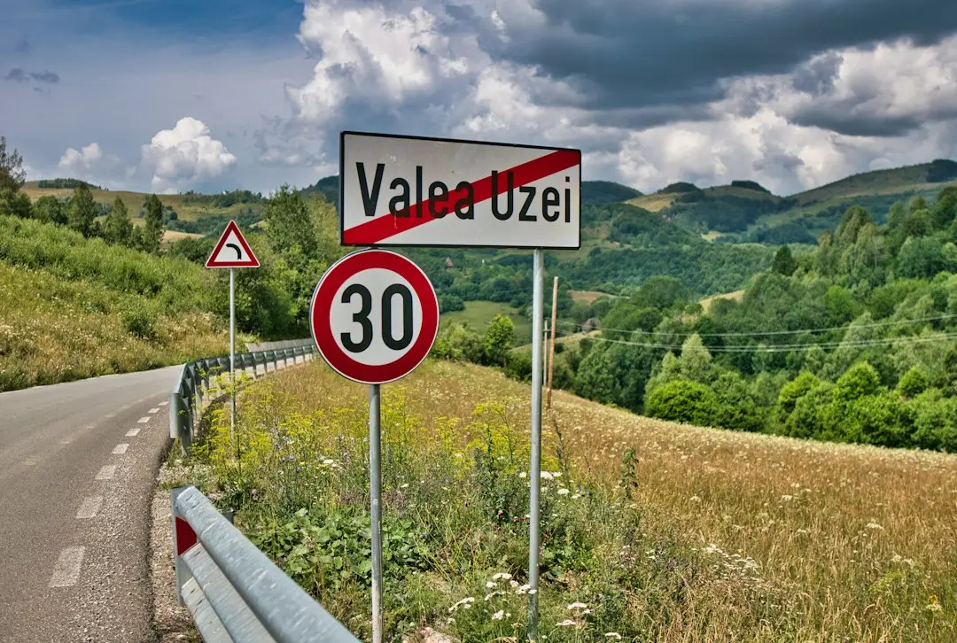 Mai mult de 40% dintre angajații de peste 55 de ani vretă pensie anticipată