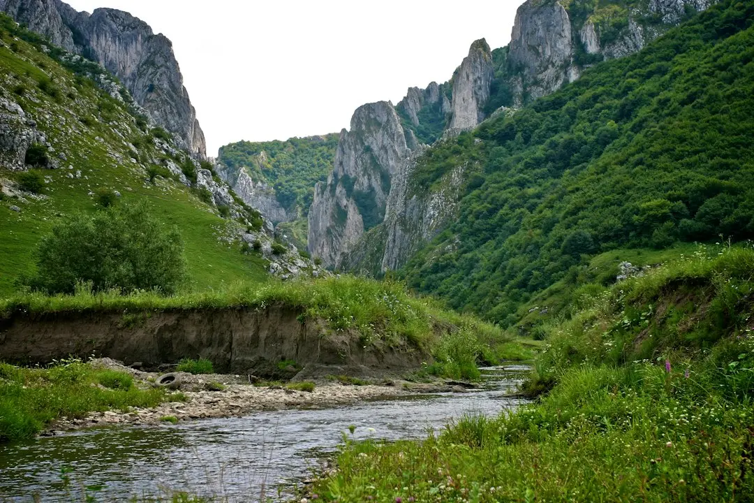 Timpul petrecut în natură îmbunătățește obiceiurile alimentare, arată un studiu recent